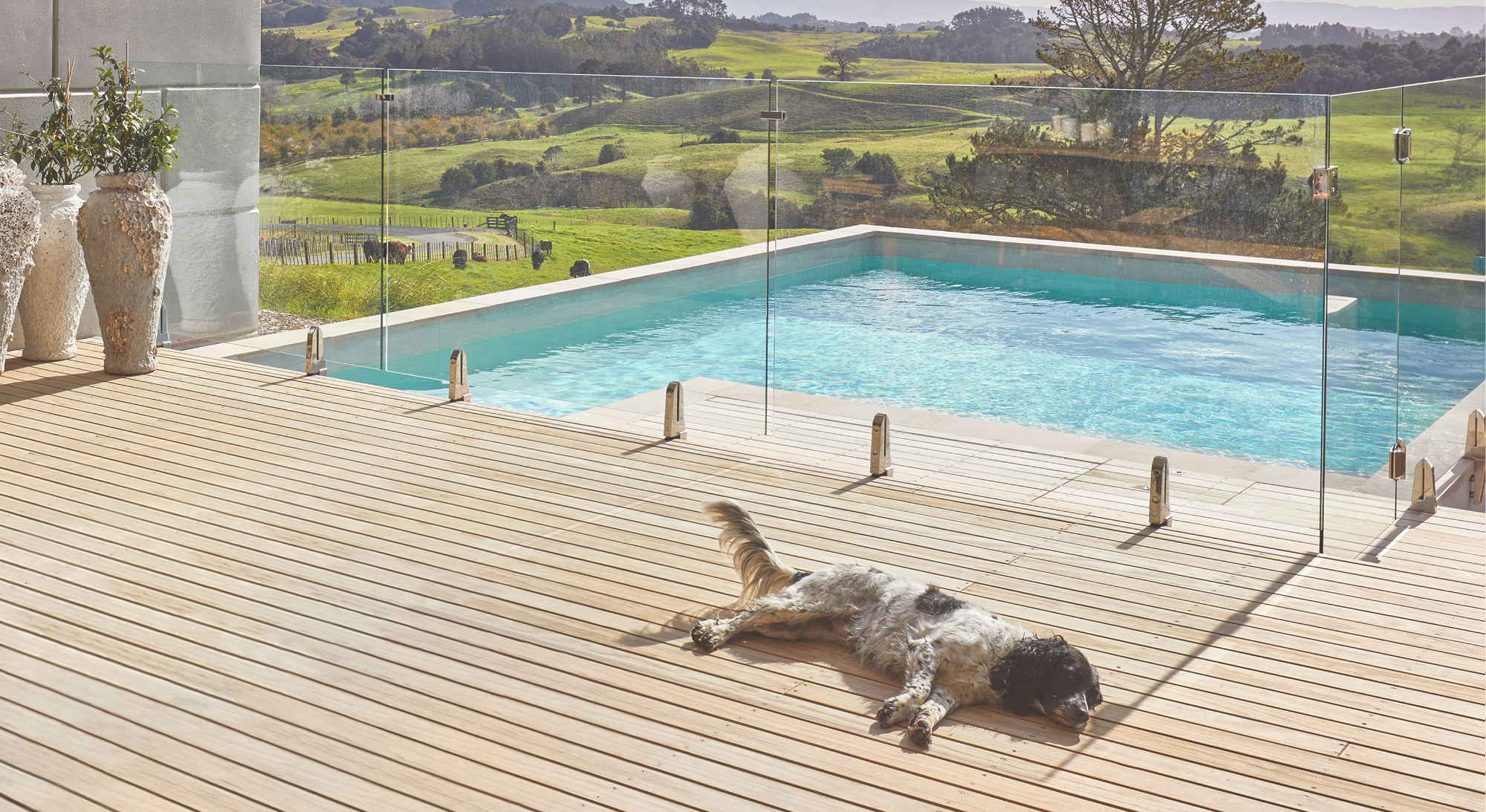 a dog lies on the deck by a pool in front of the rolling hills of the farm estate